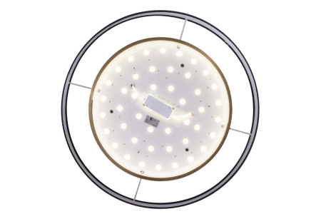 Накладные светильники — Накладной светильник Zortes ZRS.27510.05 купить в  Накладные светильники — Накладной светильник Zortes ZRS.27510.05 купить в