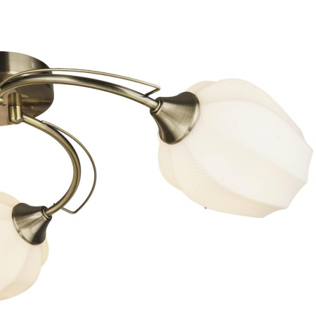 Потолочные люстры — Потолочная люстра Seven Fires Shajena 66593.01.05.03 купить в 