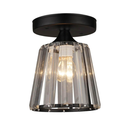 Потолочные светильники — Потолочный светильник Seven Fires Нетта 66111.01.14.01 купить в 