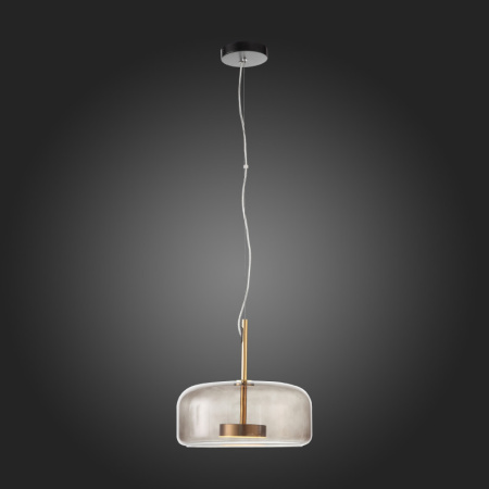 Подвесные светильники — Подвесной светильник ST-Luce SL1053.243.01 купить в 