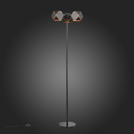 Торшеры и напольные светильники — Торшер ST-Luce SL258.405.03 купить в 