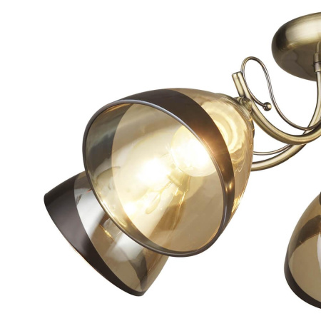 Потолочные люстры — Потолочная люстра Seven Fires Бареджо 66269.01.05.05 купить в 