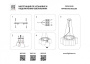 Люстры подвесные — Подвесная люстра Lightstar 802161 купить в  Люстры подвесные — Подвесная люстра Lightstar 802161 купить в