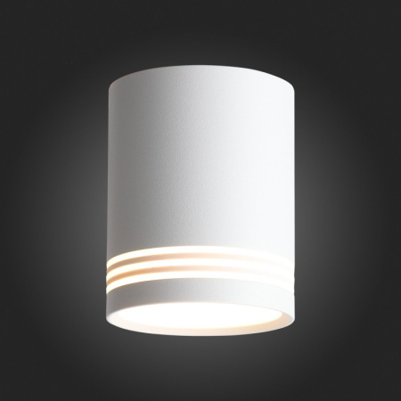 Накладные точечные светильники — Накладной светильник ST-Luce ST101.542.12 купить в 