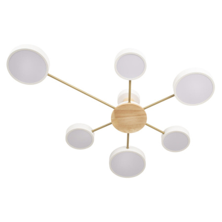 Накладные светильники — Накладной светильник LOFT IT 10316/6 White купить в 