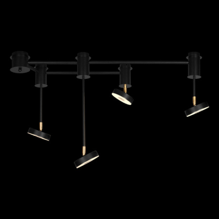 Люстры накладные — Накладная люстра LOFT IT 10189/1000 купить в  Люстры накладные — Накладная люстра LOFT IT 10189/1000 купить в