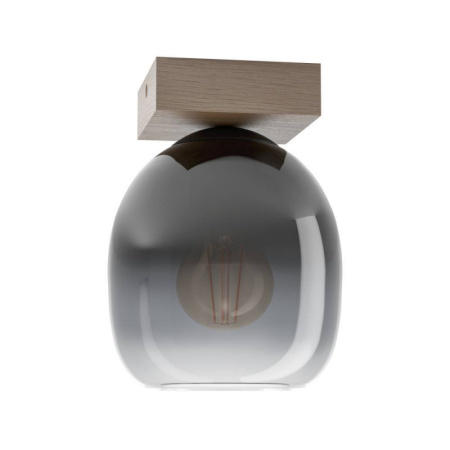 Накладные светильники — Накладной светильник EGLO 900825 купить в 