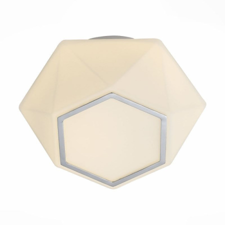 Накладные светильники — Накладной светильник ST-Luce SL558.052.01 купить в 