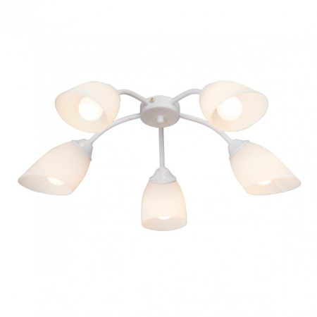 Люстры накладные — Накладная люстра Vitaluce V3194/5PL купить в 