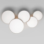 Люстры накладные — Накладная люстра TK Lighting 6593 купить в  Люстры накладные — Накладная люстра TK Lighting 6593 купить в