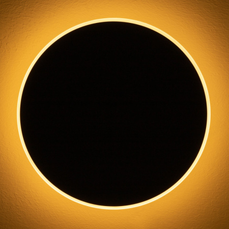 Настенные бра — Бра Freya FR6002WL-L20B купить в  Настенные бра — Бра Freya FR6002WL-L20B купить в