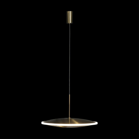 Подвесные светильники — Подвесной светильник LOFT IT 10036/300 купить в 