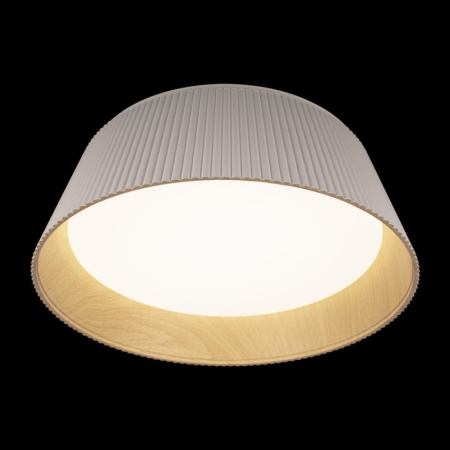 Накладные светильники — Накладной светильник LOFT IT 10224 White купить в 