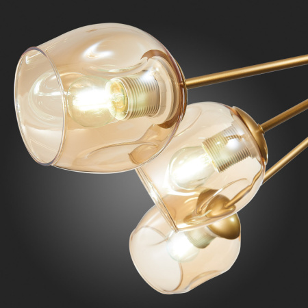 Люстры на штанге — Люстра на штанге Evoluce SLE155412-10 купить в 