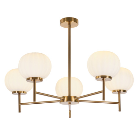 Люстры на штанге — Люстра на штанге MyFar MR1901-5C купить в  Люстры на штанге — Люстра на штанге MyFar MR1901-5C купить в