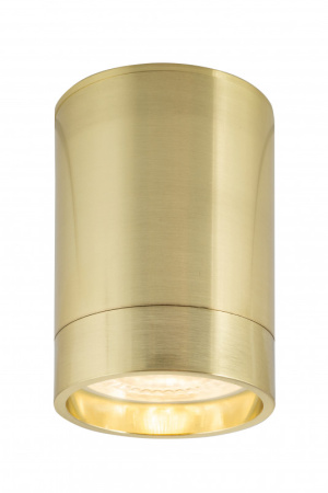 Накладные точечные светильники — Накладной светильник Denkirs DK2050-BS купить в  Накладные точечные светильники — Накладной светильник Denkirs DK2050-BS купить в