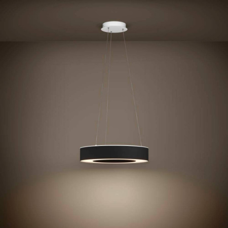 Подвесные светильники — Подвесной светильник EGLO 39992 купить в 