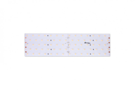 Светодиодные ленты — Лента DesignLed DSG2350-24-WW-33 купить в 