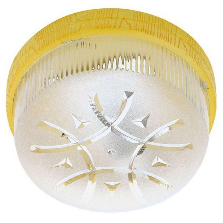 Потолочные светильники — Потолочный светильник Horoz Глоп Фавори 400-222-100 HRZ00001396 купить в 