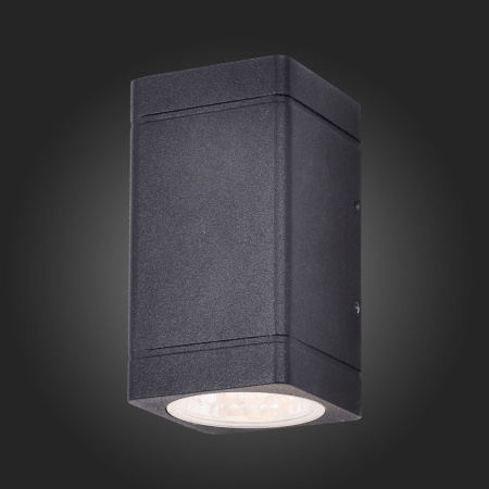 Уличные настенные светильники — Светильник настенный ST-Luce SL563.401.02 купить в 