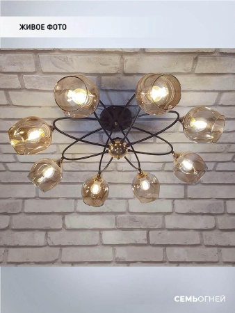 Потолочные люстры — Потолочная люстра Seven Fires Klimin WD3528/8C-CF-FGD-AM купить в  Потолочные люстры — Потолочная люстра Seven Fires Klimin WD3528/8C-CF-FGD-AM купить в