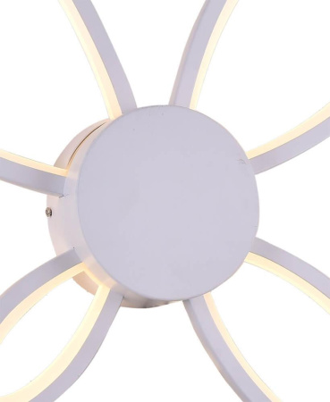 Настенные бра — Настенный светодиодный светильник Seven Fires Риалто 74502.02.09.04 купить в  Настенные бра — Настенный светодиодный светильник Seven Fires Риалто 74502.02.09.04 купить в