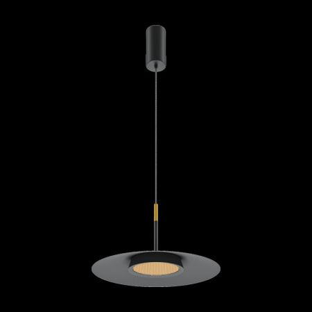 Подвесные светильники — Подвесной светильник Maytoni MOD041PL-L15B3K1 купить в 