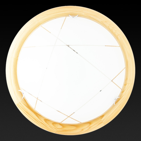 Накладные светильники — Накладной светильник TOPLIGHT TL9013Y-02PN купить в 