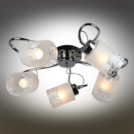 Люстры накладные — Накладная люстра Omnilux OML-54407-05 купить в 