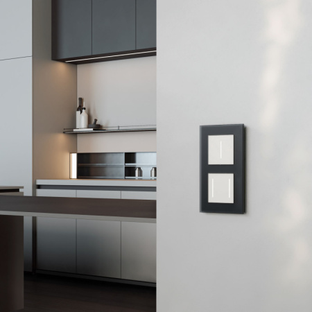 Диммеры — Диммеры Werkel W3443101 купить в 