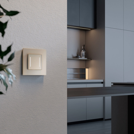 Выключатели — Выключатель Werkel W4523011 купить в 