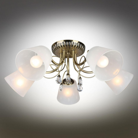 Люстры накладные — Накладная люстра Omnilux OML-54607-05 купить в 