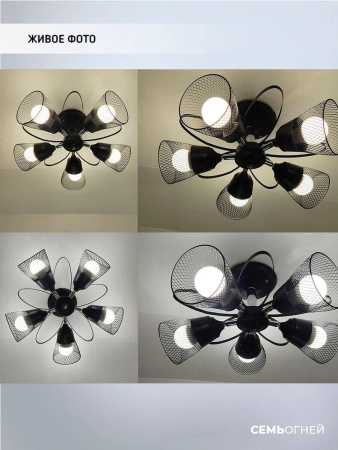 Люстры на штанге — Потолочная люстра Seven Fires Berat WD3525/5C-BK-CR-BK купить в 