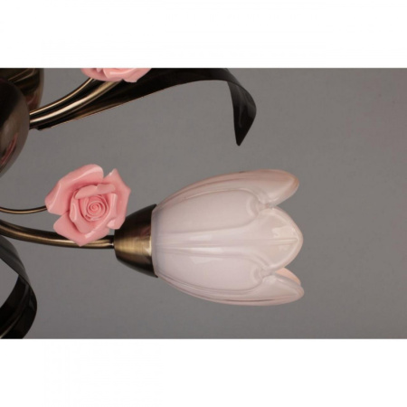 Люстры накладные — Накладная люстра Omnilux OML-38507-05 купить в 