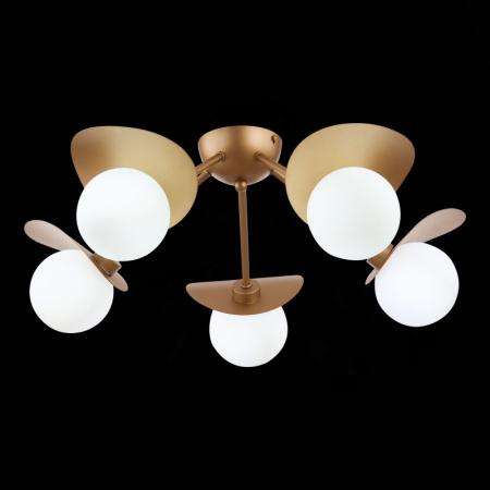 Люстры накладные — Накладная люстра Evoluce SLE220502-05 купить в 