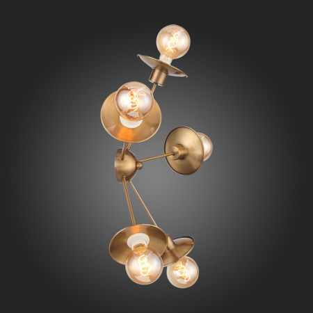 Люстры накладные — Накладная люстра ST-Luce SL1111.301.05 купить в 