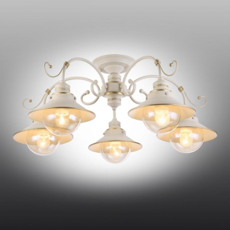 Люстры накладные — Накладная люстра Omnilux OML-50807-05 купить в 