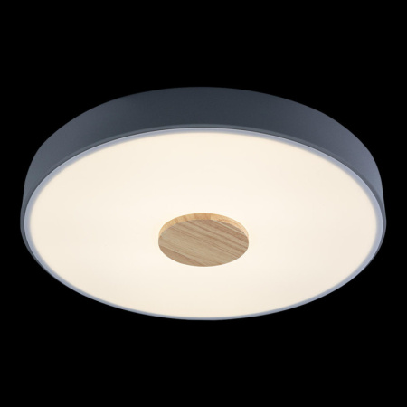 Накладные светильники — Накладной светильник LOFT IT 10003/24 Grey купить в 