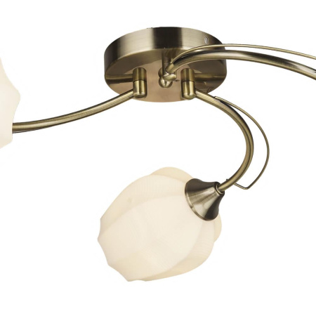 Потолочные люстры — Потолочная люстра Seven Fires Shajena 66593.01.05.03 купить в 