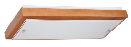 Накладные светильники — Накладной светильник Дубравия 199-21-22 купить в 