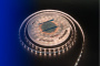 Светодиодные ленты — Лента DesignLed DSG260-12-WW-33 купить в 