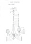 Люстры подвесные — Подвесная люстра Lightstar 734057 купить в  Люстры подвесные — Подвесная люстра Lightstar 734057 купить в