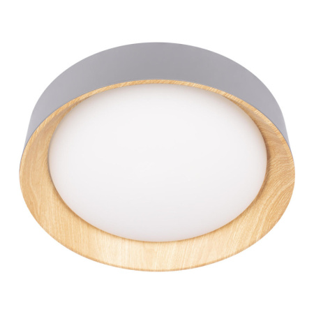 Накладные светильники — Накладной светильник LOFT IT 10202 Grey купить в 