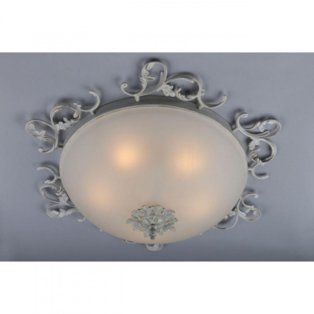 Накладные светильники — Накладной светильник Omnilux OML-76517-05 купить в 