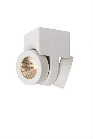 Накладные точечные светильники — Накладной светильник LUCIDE 33159/10/31 купить в 