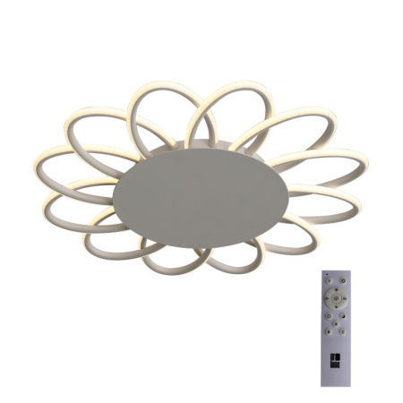 Накладные светильники — Накладной светильник ST-Luce SL828.512.12 купить в 