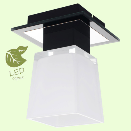 Накладные светильники — Накладной светильник Lussole GRLSC-2507-01 купить в 