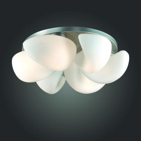 Накладные светильники — Накладной светильник ST-Luce SL538.502.06 купить в 