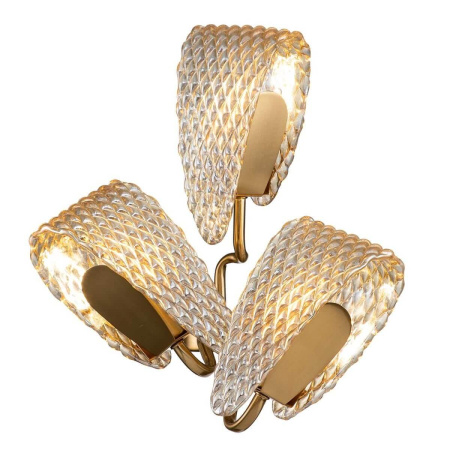 Потолочные светильники — Бра Indigo Fless 11033/3W Amber V000342 купить в 