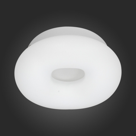 Накладные светильники — Накладной светильник ST-Luce SL960.052.01D купить в 